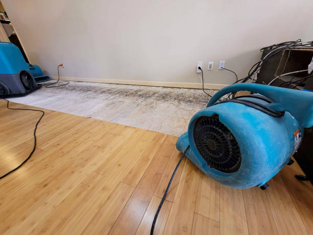 Professional Ceiling Water Damage Repair technician working in Agate, CO